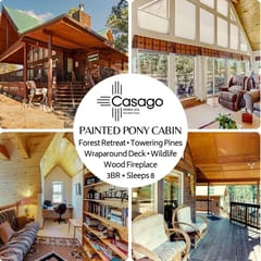 Painted Pony Cabin