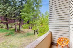 Gold Creek 304