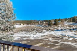 Snowfire 308A