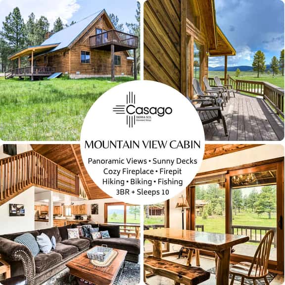 Mountain View Cabin - Image 1